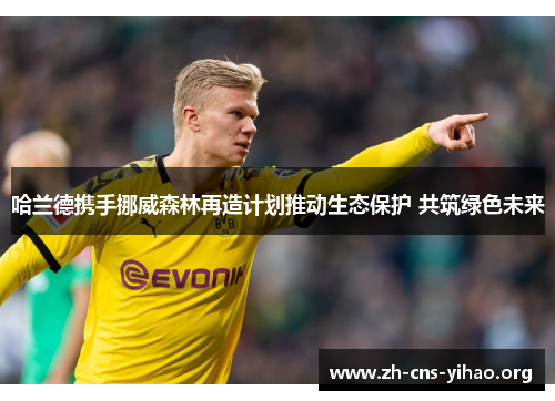 哈兰德携手挪威森林再造计划推动生态保护 共筑绿色未来 哈兰德携手挪威森林再造计划推动生态保护 共筑绿色未来