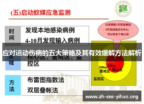 应对运动伤病的五大策略及其有效缓解方法解析 应对运动伤病的五大策略及其有效缓解方法解析
