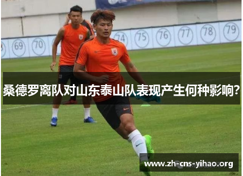 桑德罗离队对山东泰山队表现产生何种影响? 桑德罗离队对山东泰山队表现产生何种影响?